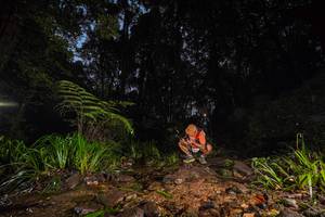 BIB: 
                            <button type="button" onclick="openModal(19245381)" class="btn btn-primary btn-sm float-right btn-popup" data-toggle="modal" data-target=".modal-high-quality">
                        <i class="fas fa-shopping-cart"></i> Add to Cart
                    </button>
                                            <button type="button" onclick="isThisMe(19245381, true)" class="btn btn-success btn-sm float-right btn-popup btn-isme hidden" data-toggle="tooltip" data-placement="bottom" title="นี่คือรูปของคุณใช่ไหม คลิกที่นี่เพื่อเอาเข้าอัลบั้ม">
                        <i class="fas fa-plus"></i> Add to album
                    </button>
                    <button type="button" onclick="isThisMe(19245381, false)" class="btn btn-warning btn-sm float-right btn-popup btn-isnotme hidden">
                        <i class="fas fa-ban"></i> Remove from album
                    </button>